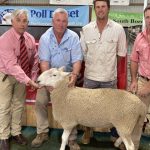 Beef Spectacular Feedback Trial 2023: Podium finish for first-timers, the McCrohons