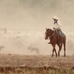 Canberra Royal 2023: Red Angus results