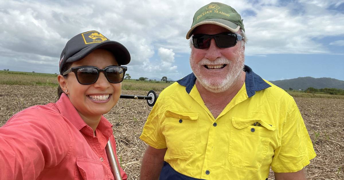 Project to increase plant nutrient uptake, reducing nitrogen runoff into Great Barrier Reef