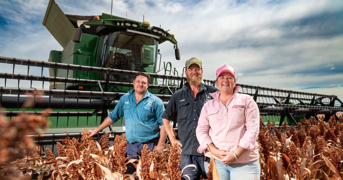 Early plant pays off for sorghum growers as prices hit yearly highs