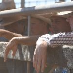 S3 Ep1: Cattle market update, with Chris Howie & Matt Dalgleish