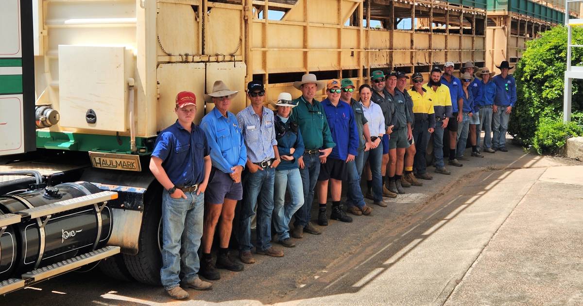 QTA Charters Towers livestock handling workshop fully subscribed | North Queensland Register