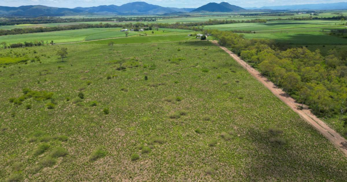 'Blank canvas' with irrigation water