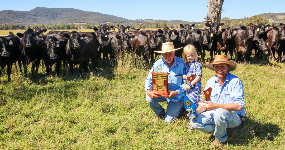 Beef Spectacular Feedback Trial 2023: Data the key ingredient in Hicks' Beef Spec win