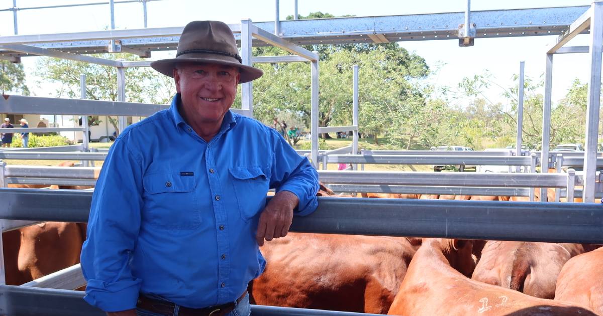 Maroon producers claim Beaudesert show and sale honours