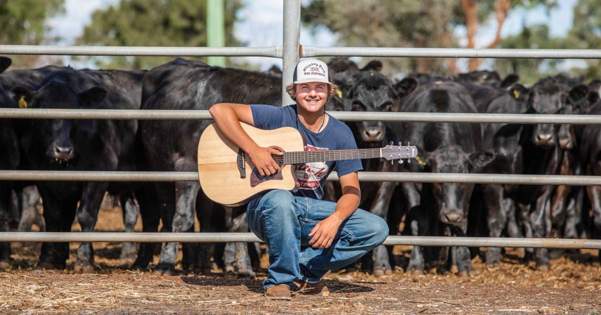 Meet Dubbo's rising star: livestock agent, auctioneer, and singer