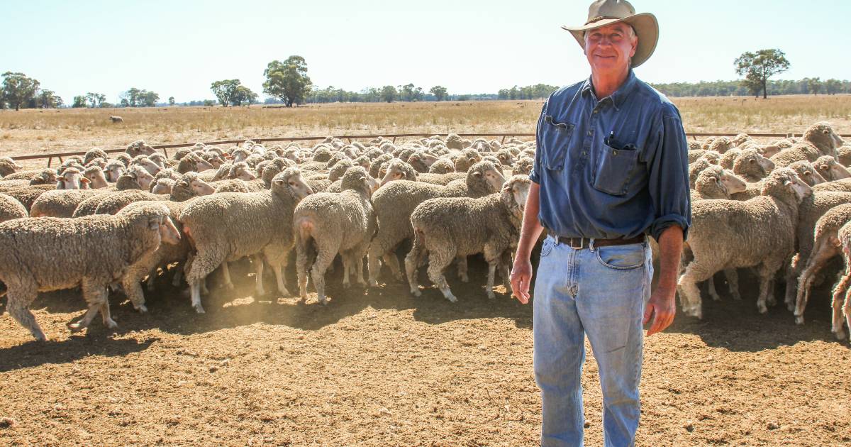 Back to back winners for West Wyalong flock ewe competition