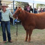 Measurable goals key to proving beef industry sustainability