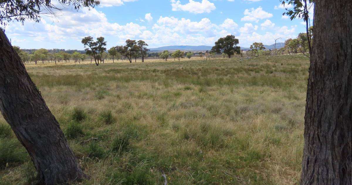 Northern Tablelands country sells for well above pre-auction expectations