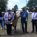 Canberra Royal 2023: Simmental results