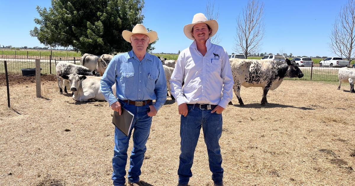 Northern Victorian studs welcome visitors on day six of Stock & Land Beef Week