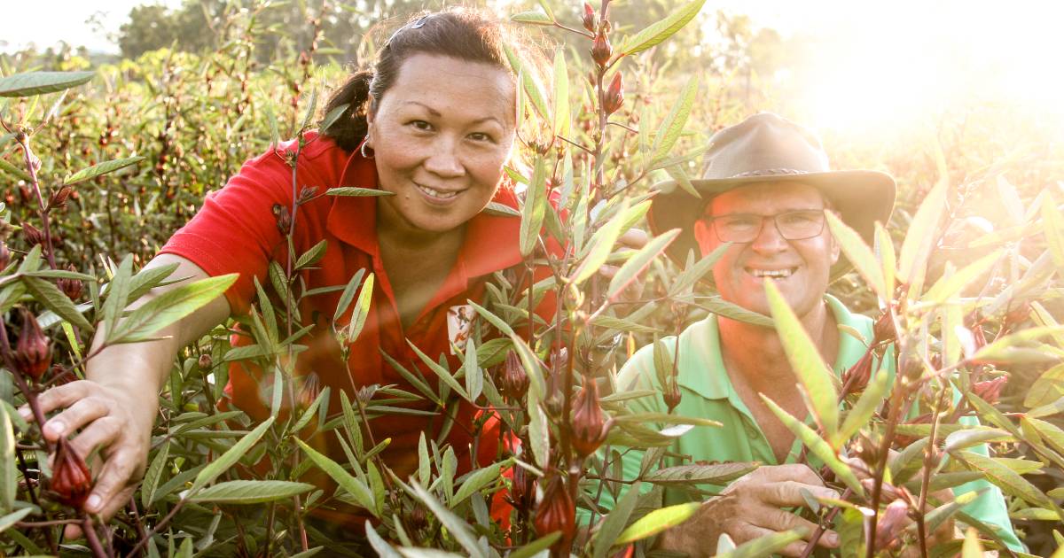 Rosella food and farming celebration will be back for its 8th year | Queensland Country Life