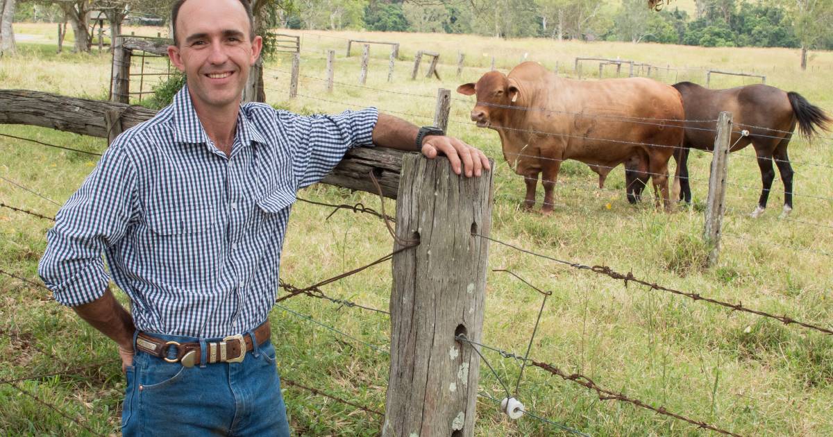 University of Queensland develops bovine trichomoniasis vaccine | Queensland Country Life