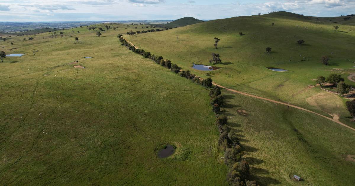 Grazing country with bonus income-generating wind turbines