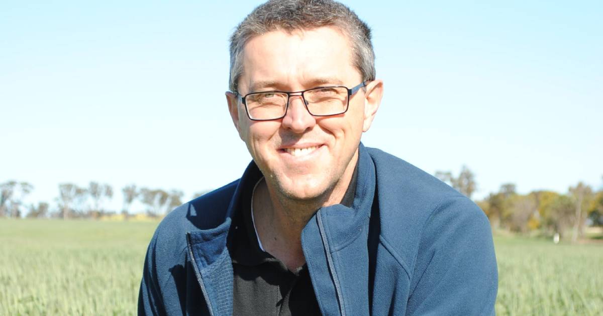 Dr Greg Rebetzke wins 2023 GRDC Seed of Light award. | Farm Weekly