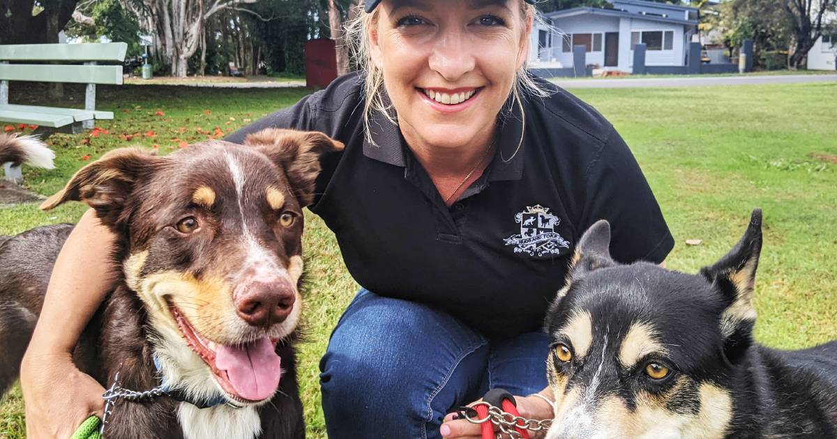 From insect dog food to cattle market forecasting: Queensland Rural Women's Award finalists named