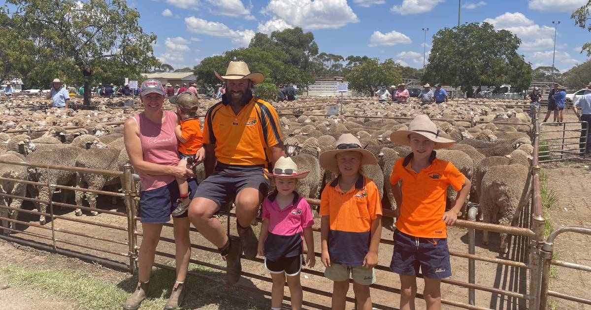 Erratic market at West Wyalong