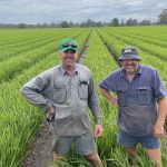 Booberoi: Outstanding irrigation, dryland farming and grazing | Queensland Country Life