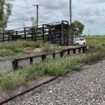 Graziers beef up supply chain knowledge with meatworks and feedlot visit