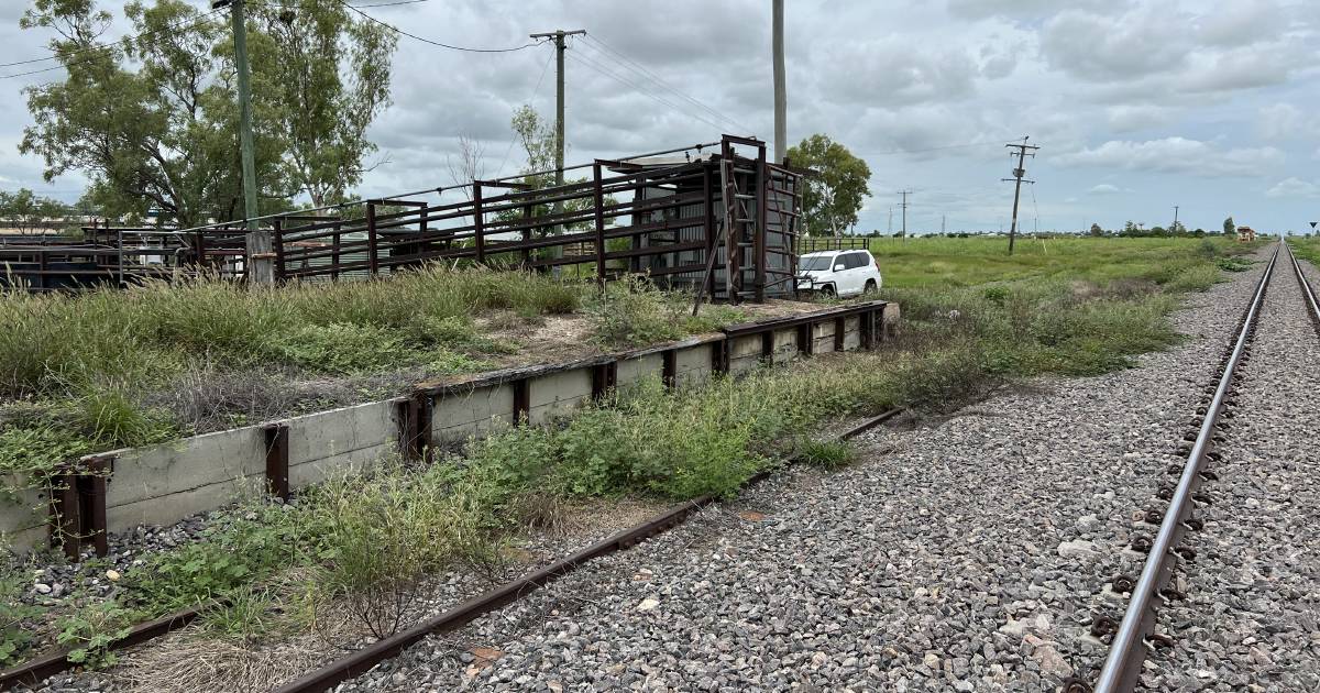 Cattle trains to load at Julia Creek following lease with Aurizon | North Queensland Register