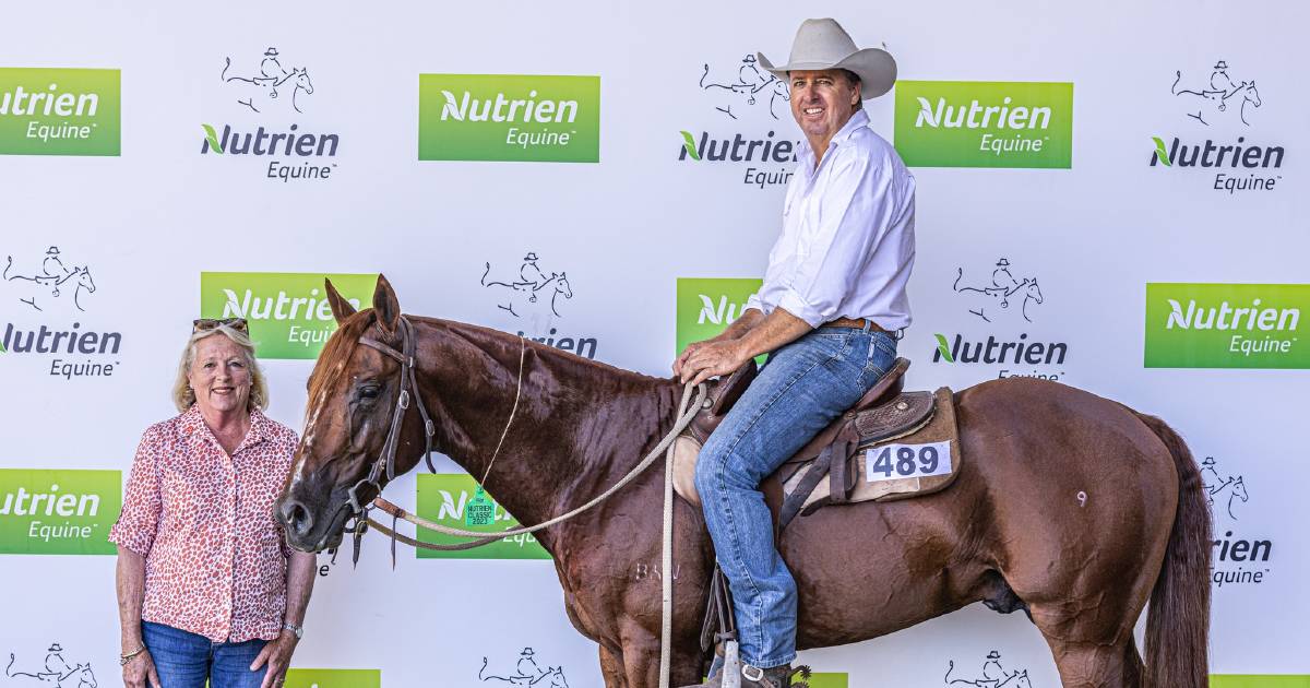 Nutrien Classic Sale 2023 day three results sees two horses sold for six figure sums | The Land