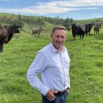 Beef Spectacular Feedback Trial 2023: Champion Angus pen for Baringa Pastoral Company