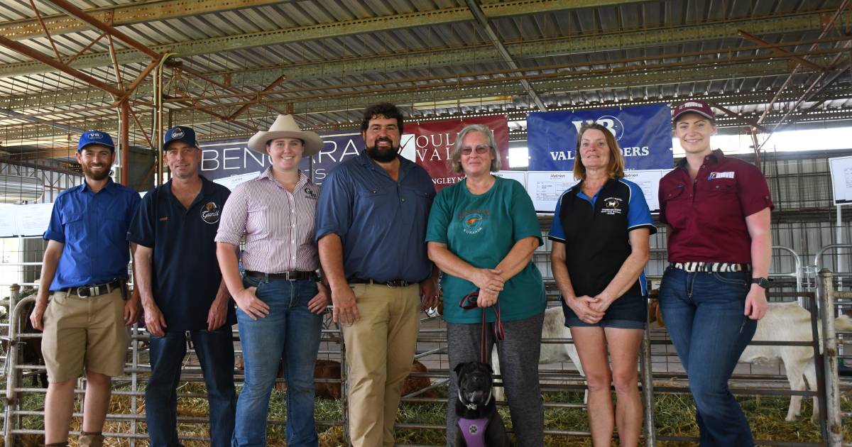 Goat market slump prompts producers to seek government support | Queensland Country Life