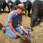 High fuel prices, low cattle exports hit Wellard half-year result