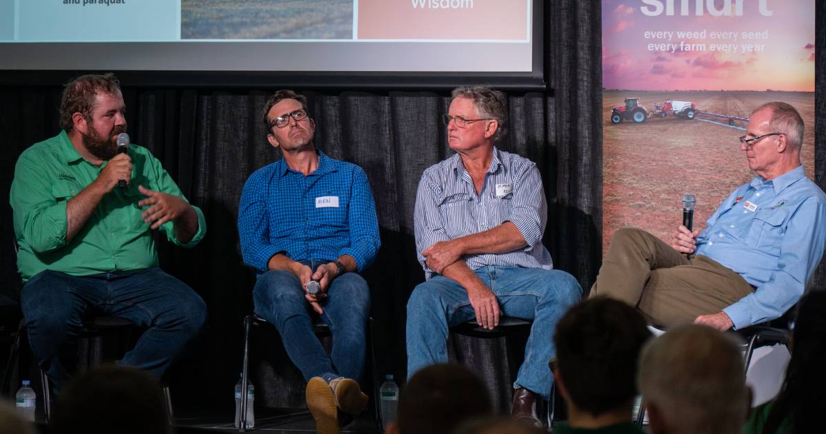 5 growers share their feathertop, fleabane control methods