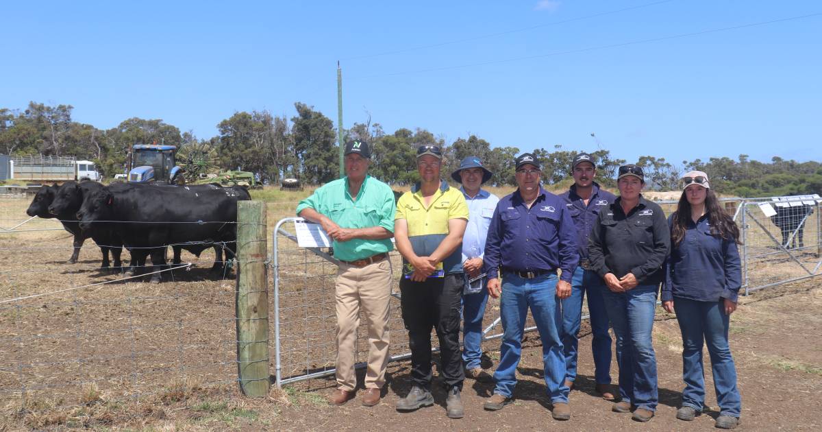 Mason Valley Angus sells to $10,000 top | Farm Weekly