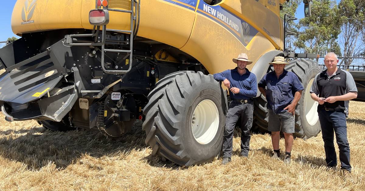 Clean farm focus wins war on weeds