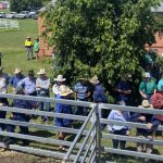 Bush fire warning as temperatures heat up