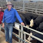 New grassfed beef brand launched on Tablelands