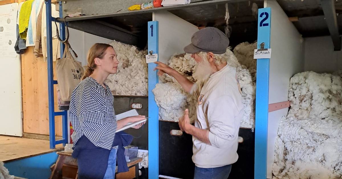 Swede impressed with Merino eco credentials