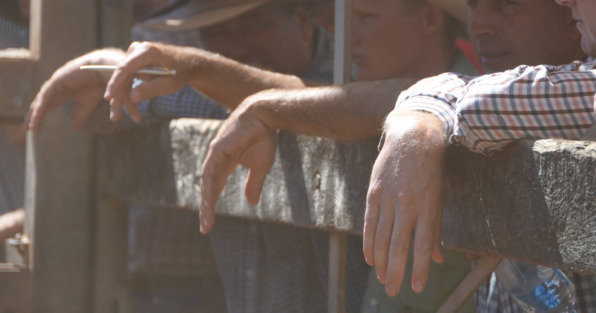 Small yarding offloaded at Eumundi