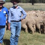 Productive grazing country protected by an exclusion fence