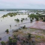 NT Buffalo Industry Council and AgriFutures buffalo handler research delivers | North Queensland Register