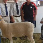 Trio of horses crack $300,000 mark at Nutrien Classic Sale