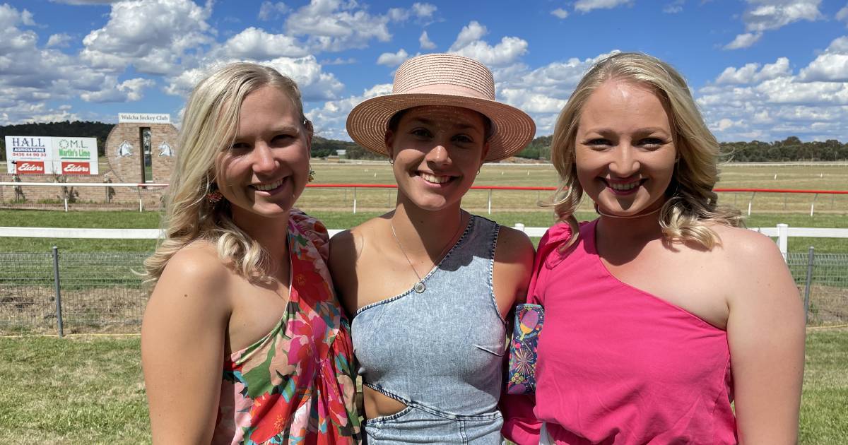 Walcha Cup photos: big crowd parties under blazing sun