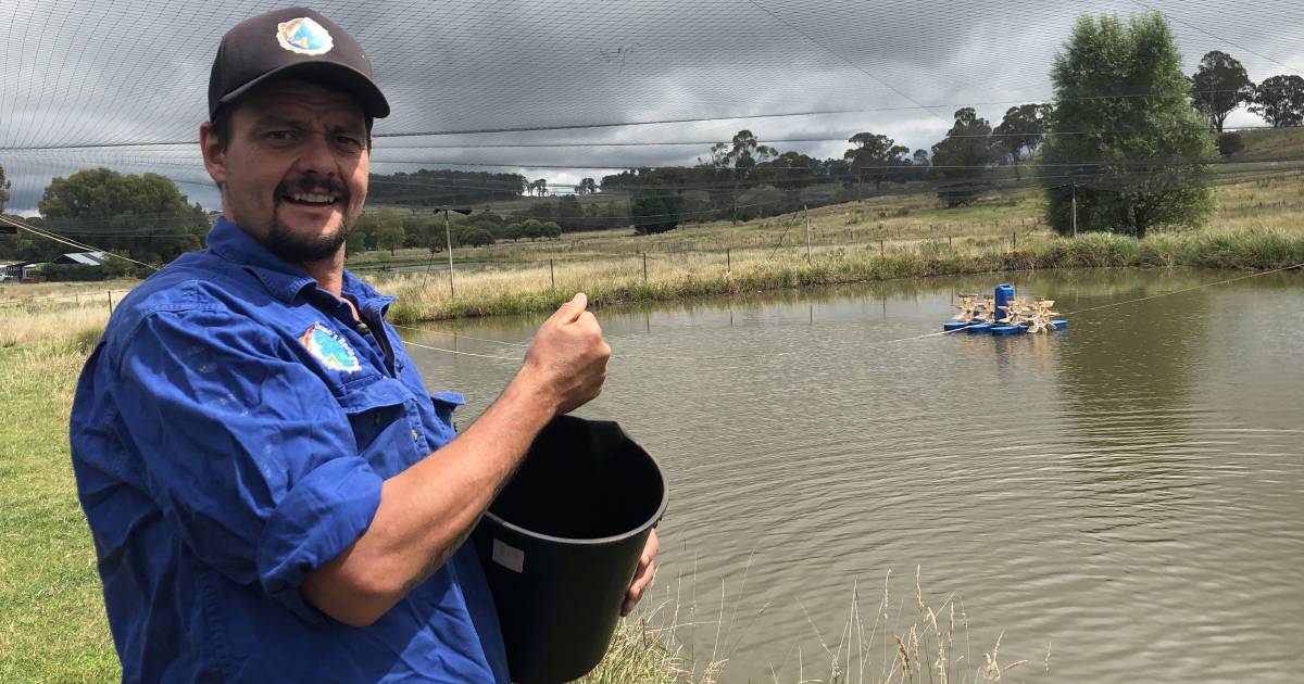 Fish farm reels in the tourists