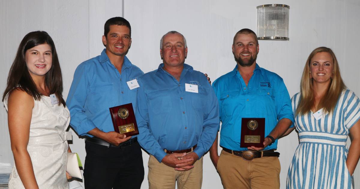 Beef Spectacular Feedback Trial 2023: Big feedlot win for Coota Park Blue-E