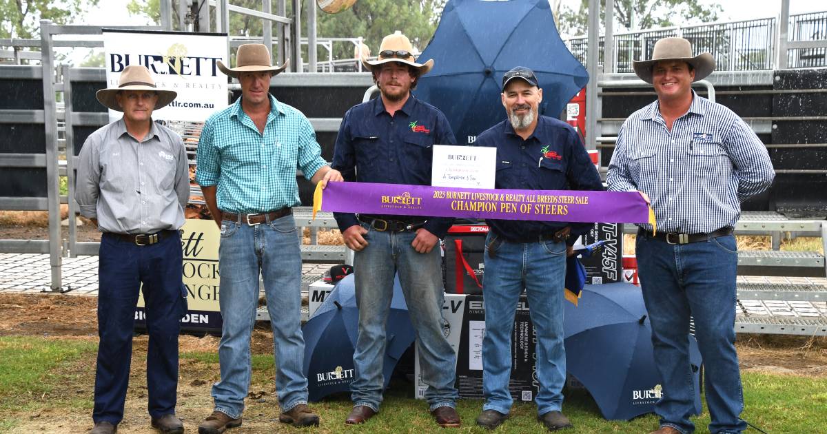 Ginger farm's cattle judged champions at Biggenden steer show