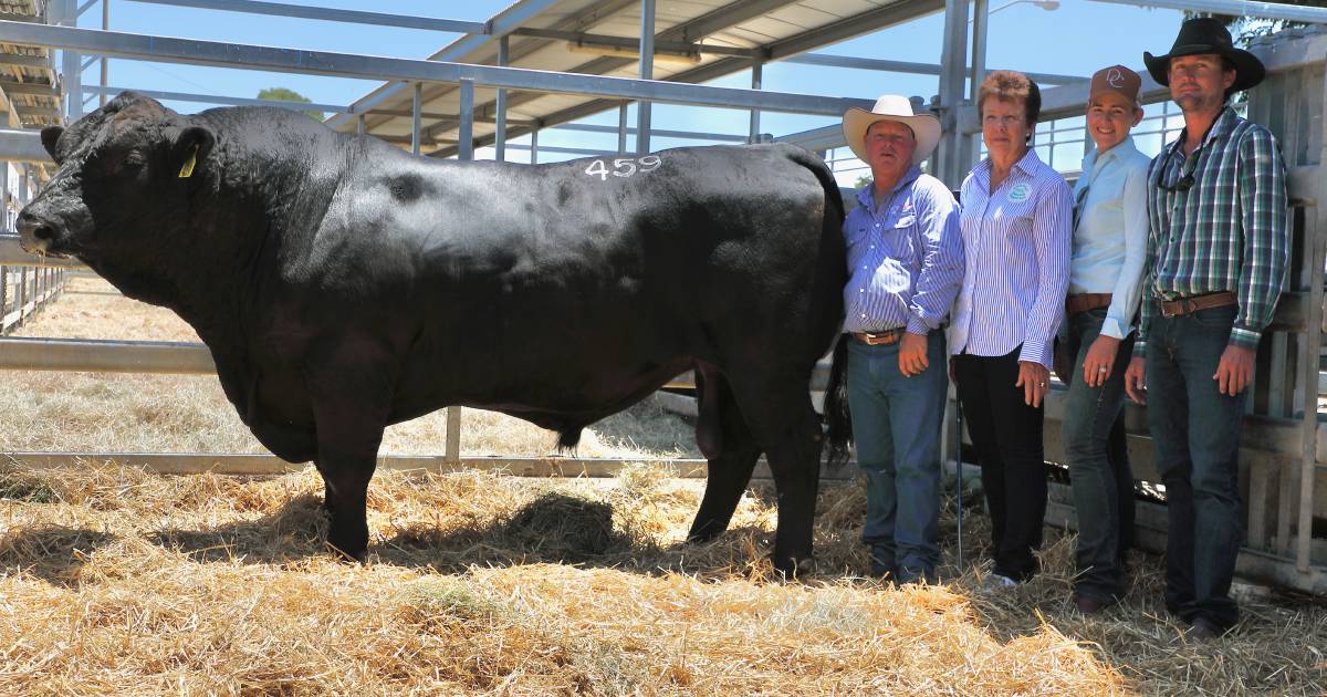 Records tumble on second day of February All Breeds Sale