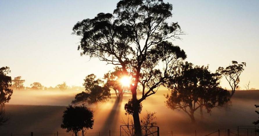 WA region could nudge 50 degrees as heatwave moves across country