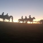 Flying foxes: The new normal for Charters Towers?