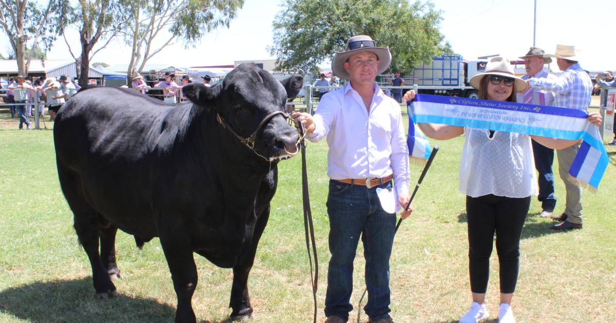 Angus takes supreme exhibit at Clifton