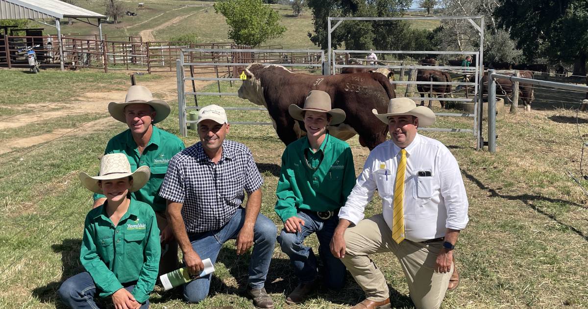 YavenVale Herefords average $10,925