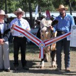 RaboResearch: Uncertainty ahead for beef industry