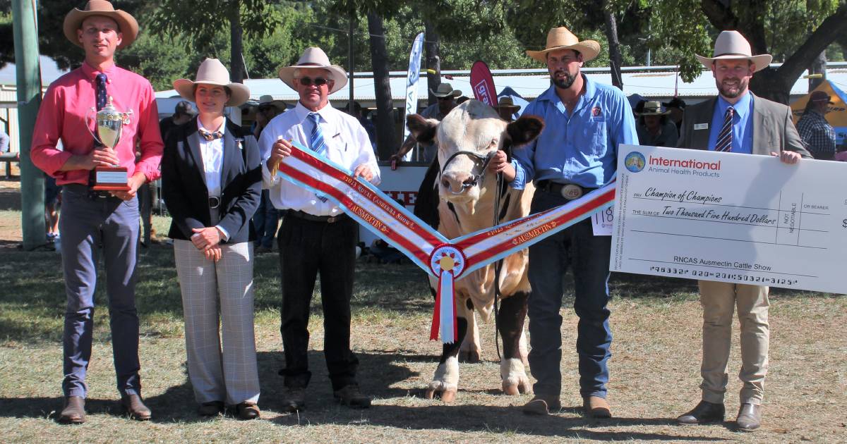 2023 Canberra Royal: A unanimous decision for interbreed supreme