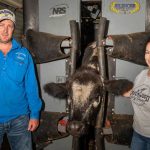 Bolt family, Claypans stud, Corrigin, to miss more Wagin Wooloramas | Farm Weekly